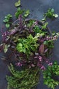 Various fresh herbs in a metal tray Royalty Free Stock Photo