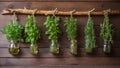 Various fresh herbs in small glasses hanging on a wooden branch in front of a wooden wall