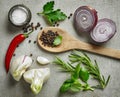 Various fresh herbs and spices Royalty Free Stock Photo