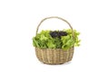 Various fresh salad vegetables in bamboo basket on isolated white Royalty Free Stock Photo