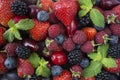 Various fresh summer berries and fruits. Ripe strawberries, raspberries, blackberry; red berries, plum and blueberries. Royalty Free Stock Photo