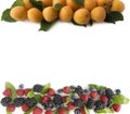 Various fresh summer berries on white background. Royalty Free Stock Photo