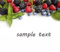 Various fresh summer berries on a white background. Royalty Free Stock Photo