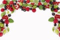 Various fresh summer berries on white background. Royalty Free Stock Photo