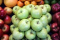 Various fresh summer exotic fruits for sale on market Royalty Free Stock Photo