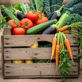 With various fresh vegetables including ripe red tomatoes Solanum Royalty Free Stock Photo