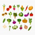 Various of Fresh Vegetables Set Flat Vector Illustration Royalty Free Stock Photo