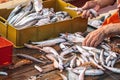 Various freshly just caught fish in plastic crates on a fishing wooden boat