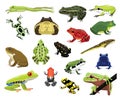 Various Frogs Cartoon Vector Illustration