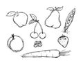 Various fruit and vegetable doodle set
