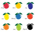 Various fruits icons