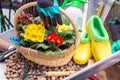 Various garden tools and decor. Household goods in a wheelbarrow trolley flowers, watering, goloshes, gloves, flower pot Royalty Free Stock Photo