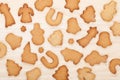 Various gingerbread cookies Royalty Free Stock Photo