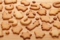 Various gingerbread cookies Royalty Free Stock Photo