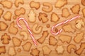 Various gingerbread cookies Royalty Free Stock Photo