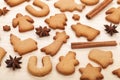 Various gingerbread cookies Royalty Free Stock Photo