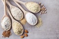 Various gluten free flour Royalty Free Stock Photo