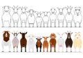 Various goats border set Royalty Free Stock Photo