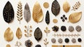 various gold and black leaves on a white background