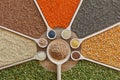 Various grains and cerelas on the table in a colorful arrangement Royalty Free Stock Photo