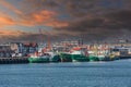 Various green-hulled ships moored at the Trawlerkade Royalty Free Stock Photo