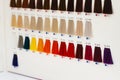 Various hair dye sample chart. Hair coloristic Royalty Free Stock Photo