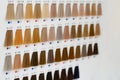 Various hair dye sample chart. Hair coloristic Royalty Free Stock Photo