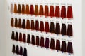 Various hair dye sample chart. Hair coloristic Royalty Free Stock Photo