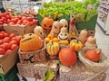 Various Halloween pumpkins lie on wicker boxes as decoration in a shopping