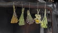 Various hanging bunches of medicinal herbal plants. Harvesting of wild healing herbs. Rural scene Alternative medicine Royalty Free Stock Photo