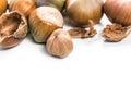 Hazelnuts and their shells arranged on a white surface showcasing natural textures and colors Royalty Free Stock Photo