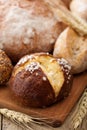 Various healthy bread Royalty Free Stock Photo