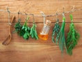 Various herbs hanging on shabby wooden background. Parsley ,sage,rosemary, fennel, shallot, thyme and essential bottles for