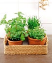 Various herbs in kitchen