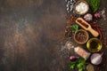 various herbs and spices Royalty Free Stock Photo