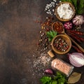 various herbs and spices on dark background. Royalty Free Stock Photo