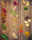 Various of Indian spices and herbs. Cooking ingredients and red Royalty Free Stock Photo