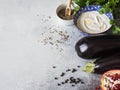 Various ingredients for cooking eggplant. Set of ingredients for Eastern or Caucasian cuisine. copy space