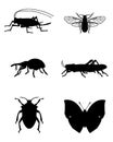 Various insects