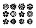 Various isolated Flower Vector