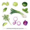 Various isolated watercolor vegetable illustration on white background for decorative use