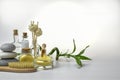 Various items for Spa treatments and massages. The concept of skin care. Bath accessories. Aromatherapy and relaxation Royalty Free Stock Photo