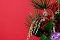Various kind of auspicious plants in a vase isolated on a red background. Royalty Free Stock Photo