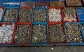 Various kind and colourful of gemstones and agate sold in traditional market in Bogor Indonesia