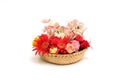 Various kind of flower head in the basket. Royalty Free Stock Photo