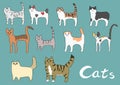 Various kinds of cat