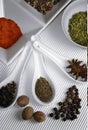 Beautiful image of various kind of spices over modern white background Royalty Free Stock Photo