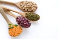 Various kinds of legumes - beans, lentils, chickpeas, mung