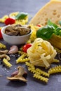 Various kinds of pasta ingredients with mushrooms, basil, cherry tomato, garlic, pepper, cheese Royalty Free Stock Photo