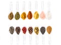 Various kinds of spices on plastic spoons isolated on white background. Royalty Free Stock Photo